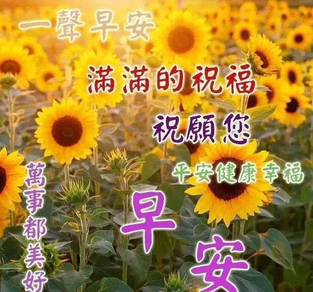 朋友圈大家早上好问候语暖心图片,早安心语祝福动图壁纸带字