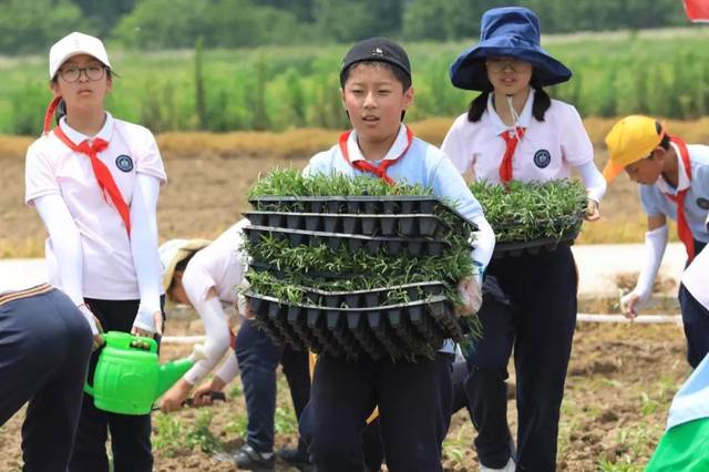 劳动教育:到农园里,打开大自然绿色的课本