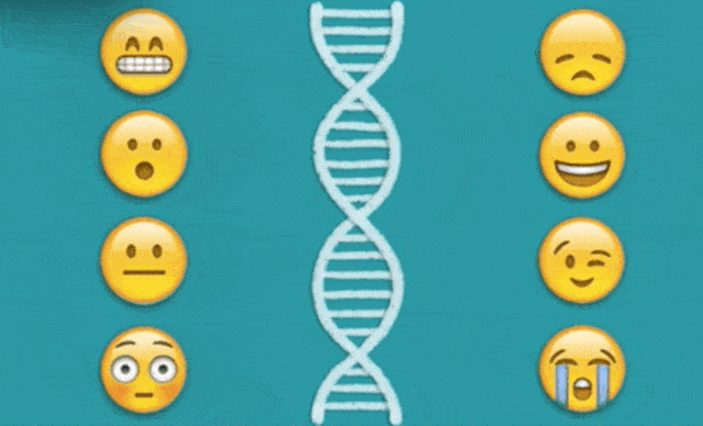 中科院生物细胞基因探索科研实践