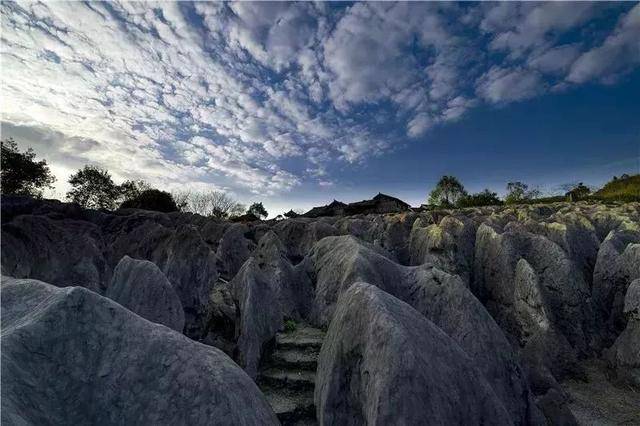 石笋,石芽相连 千姿百态,是天然的岩溶景观和地质博物馆 来宜宾兴文的