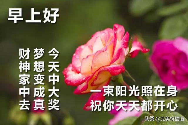 最美早安问候图片鲜花带字 最新早上好问候语图片带字