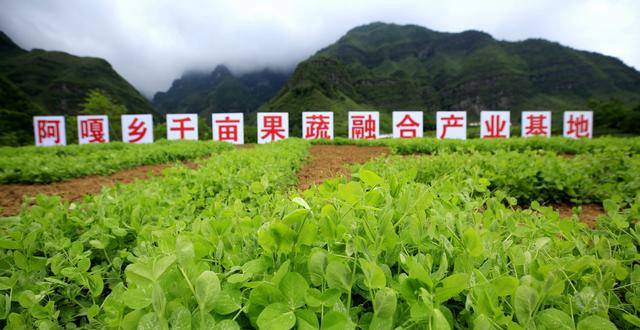 2019年凉山四个脱贫县风采篇—甘洛