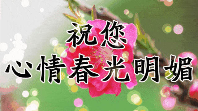 2020春分早上好问候语阳光图片 春分早晨好祝福表情包