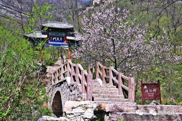 春分日,归家时丨平山各大景区邀请白衣天使们一年免费