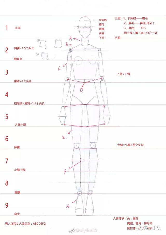 全新-160个服装人体动态【线稿】素材分享(独家珍藏版)