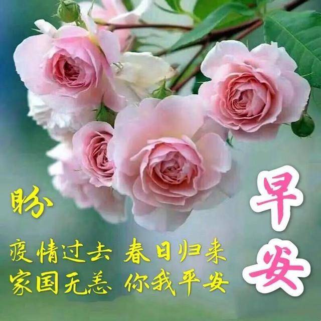 周一最新早安问候祝福图片带字,微信特漂亮早安祝福图片带字美图