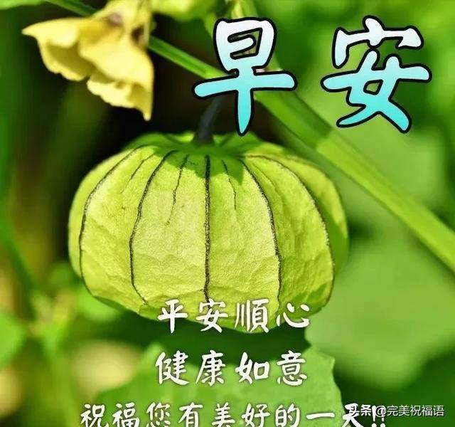 朋友圈最新版早上好问候语图片 清新漂亮的早上好表情