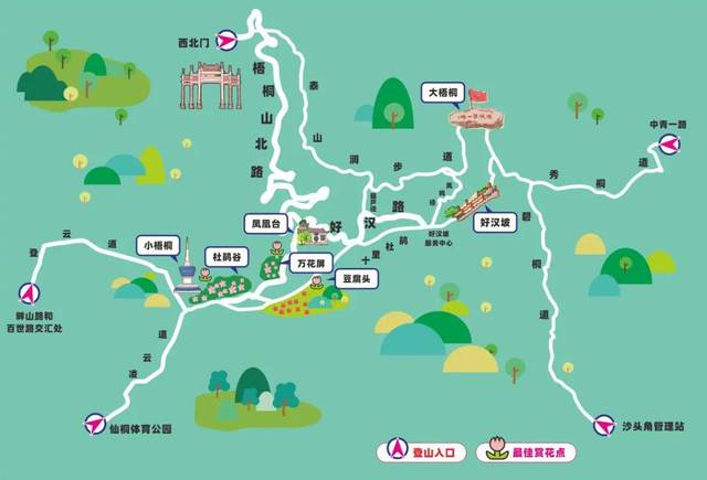 2020深圳市梧桐山第五届毛棉杜鹃花会邀你来相约