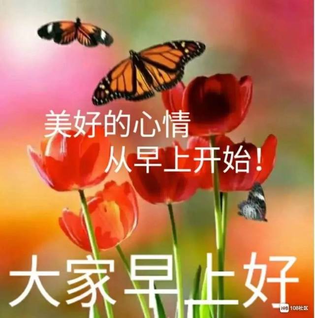 清晨问候大家早上好的漂亮图片带字,早上好温馨祝福语录图片