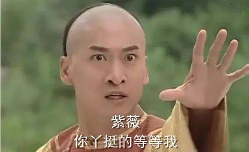 我们整理了全国的方言表情包,北京腔拽,四川话莽,最狠