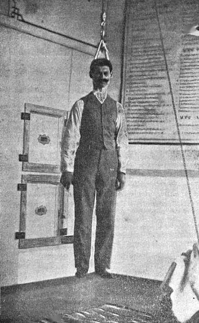 长高的方式增加了 法医尼古拉·米诺维奇经常将自己挂在实验台上进行