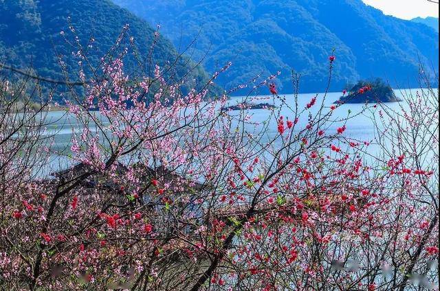 清远这座面朝桃花湖畔的湖景民宿,带你解锁秘境中世外桃源丨山客