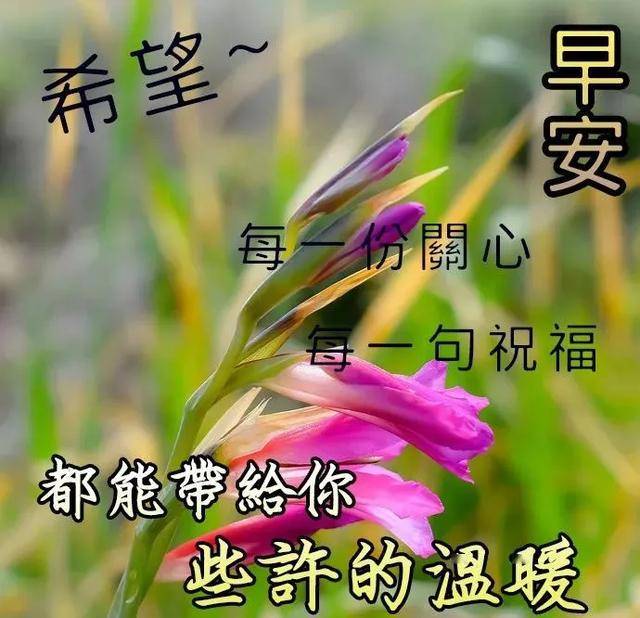 3月28日最新早安问候祝福图片带字温馨 很美的早安文字祝福图片