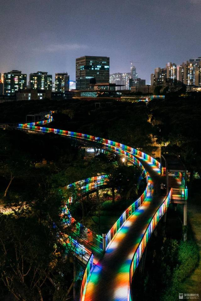 彩虹栈道,孔雀开屏…深圳公园夜景top 4,美得太惊艳!