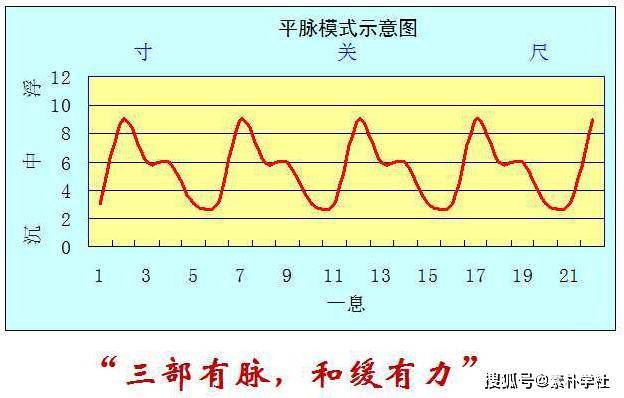 关,尺三部有脉,一息四五至(相当于60—90次/分,不浮不沉