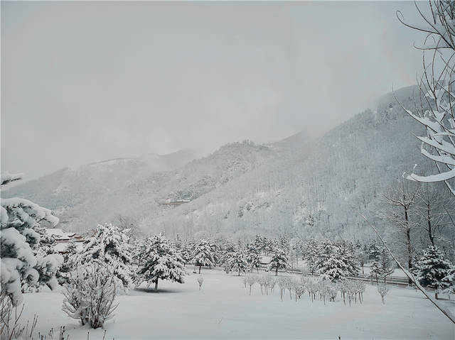 四月五台山迎来降雪,是文殊示喜,雪花漫天飞舞,圣洁的