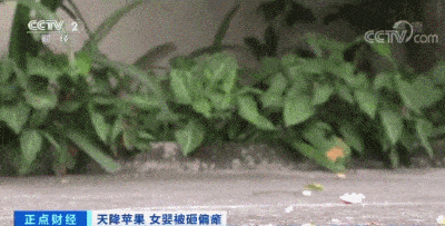 【警醒】切勿高空抛物,从24楼扔下一个苹果,赔偿185万