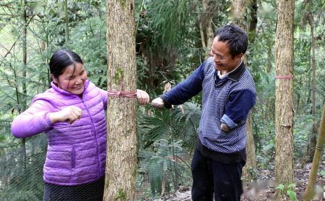 今年,准备种烟的20多亩地,赵友良带着一家人,都起好垄,覆膜,就等烟苗