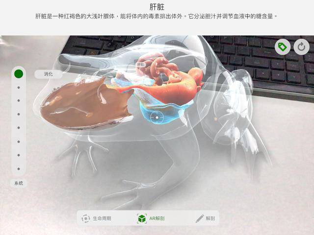 苹果生物实验课开课啦!"手把手"教你解剖青蛙