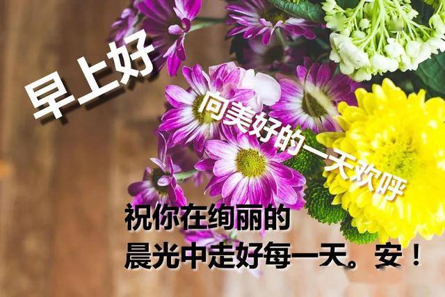 清明节清晨祝福早上好鲜花问候语 最美早上好祝福短信