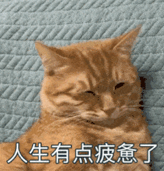 倒闭的景区旅馆 ▼ ▼ 除此之外 还有很多大大小小的企业 因为不能