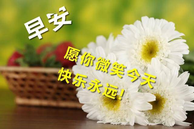 清明节早上好动态祝福 新版早上好问候语温馨的句子