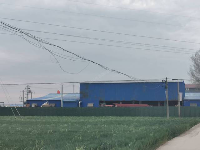 虞城县稍岗镇:违建碎石料厂堂而皇之