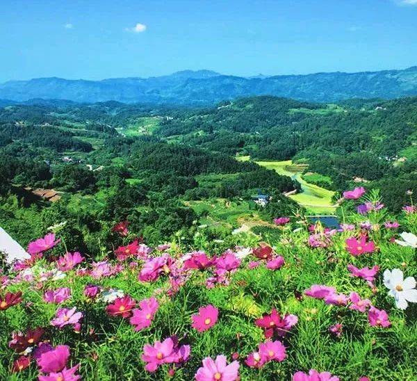 巴南有家特色树屋度假村,赏花,垂钓,周末休闲好去处