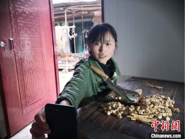 甘肃宕昌农家女引都市人"云入山:烹山味直播荐土产
