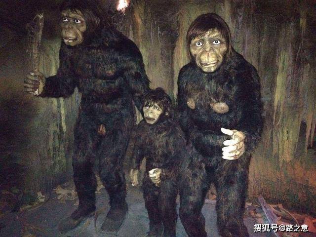 如果没有,那么野人究竟是什么生物?