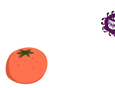 细菌里光