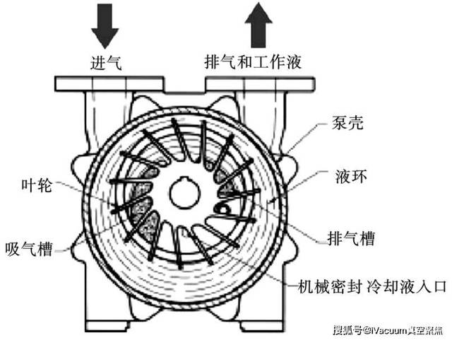 一分钟了解【液环真空泵】的工作原理