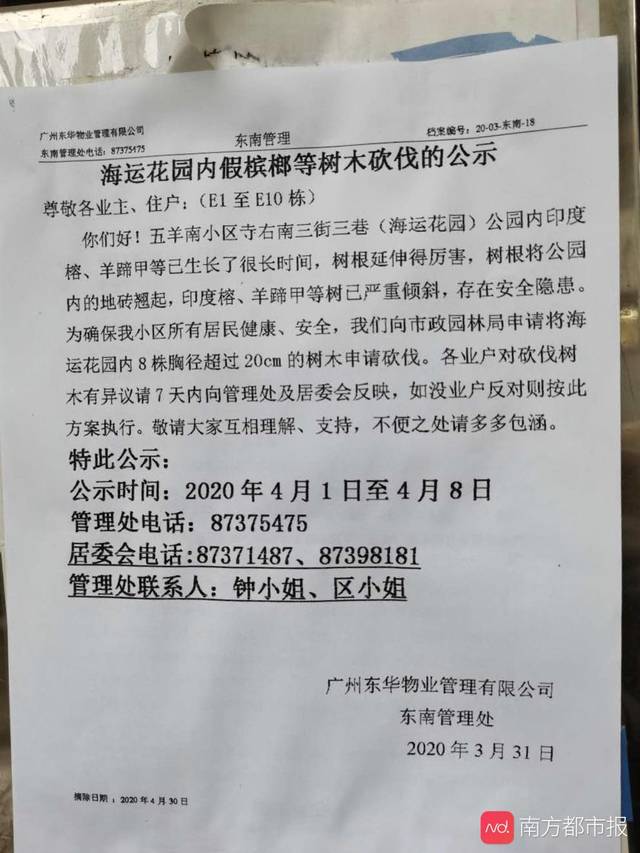 物业发出的砍树公示,称要砍伐花园里的8株大树