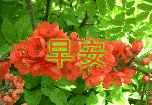 4月10日周五清晨早上好问候祝福表情包 4月最新早安问候语动态图
