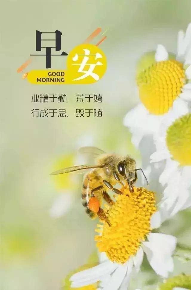 2020早上好最新表情图片 新出的早上好图片_手机搜狐网