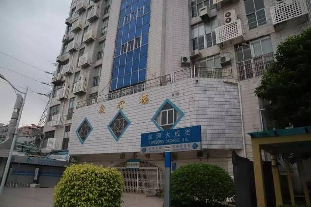 公办|【广东省外语艺术职业学院】分数/学校环境,宿舍