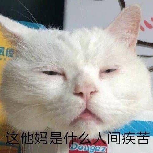 猫咪表情包合集|我小猫咪的心好痛