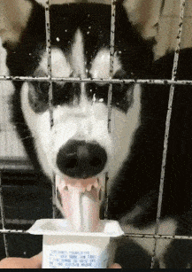 搞笑gif:以后交女朋友一定要去水多的地方_手机搜狐网