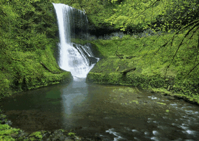 驾车踏青,看百花瀑布,登顶五指山.久违的森呼吸!