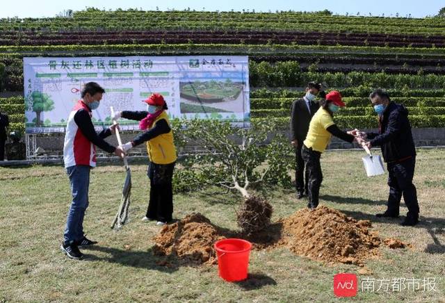 广州打造经营性墓园骨灰植树还林示范区