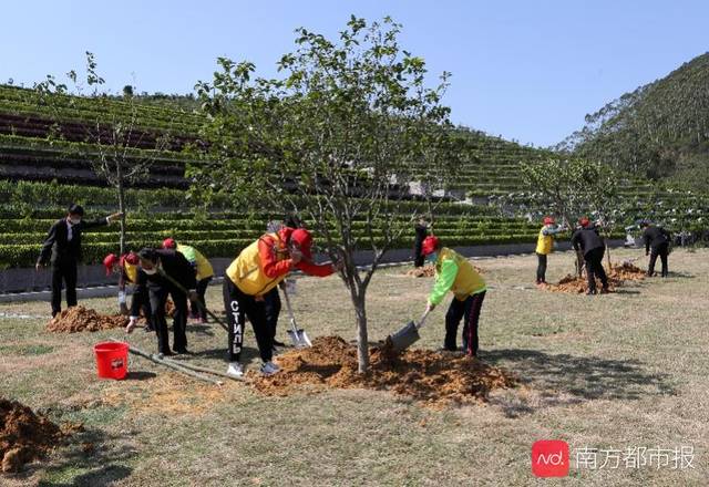 广州打造经营性墓园骨灰植树还林示范区