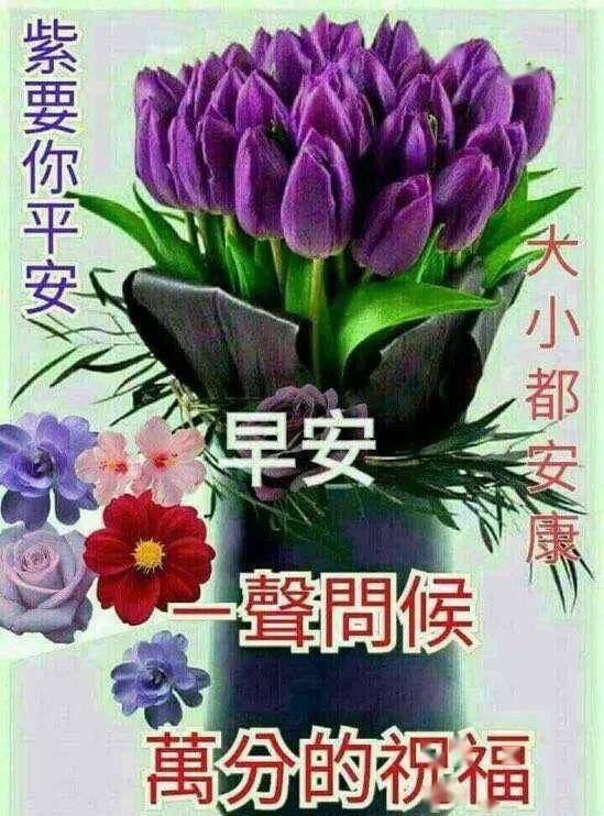 早上好的最新问候语短信句子2020 早上最棒的祝福表情