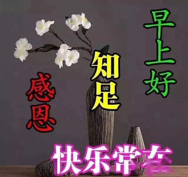 中午好!晚上好!也不如这条清晨祝福心语好!