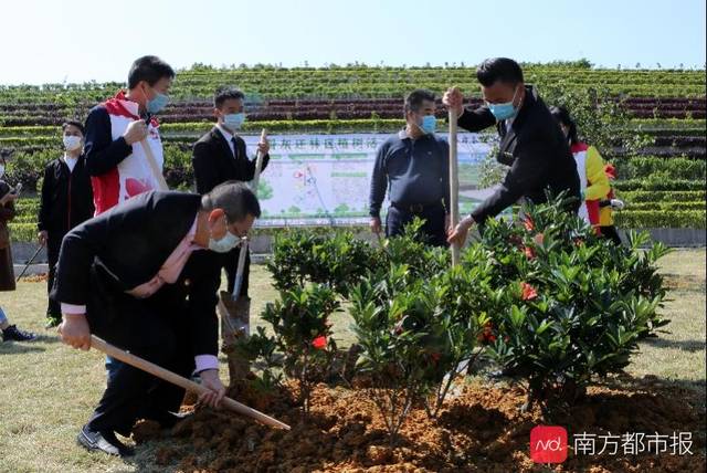 广州打造经营性墓园骨灰植树还林示范区