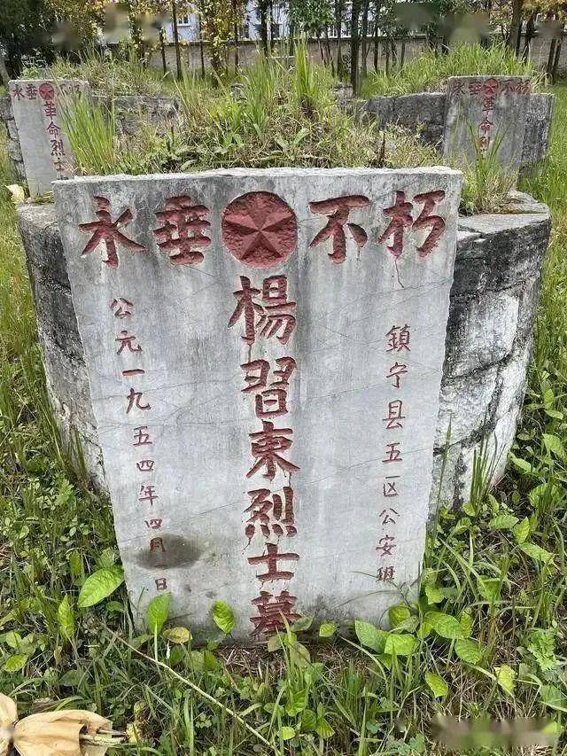 张怀泗