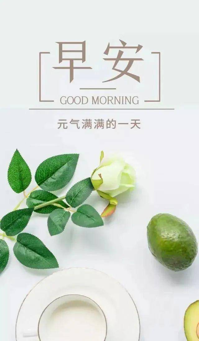 13早安!新的一天,新的开始!