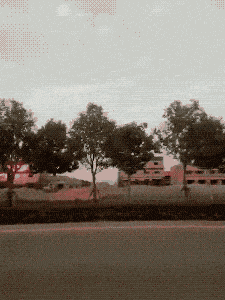 编辑 大哥,敞篷车不错,这到公路上一开多拉风啊!回头率老高了