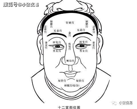 八字命理:十神和面相的关系