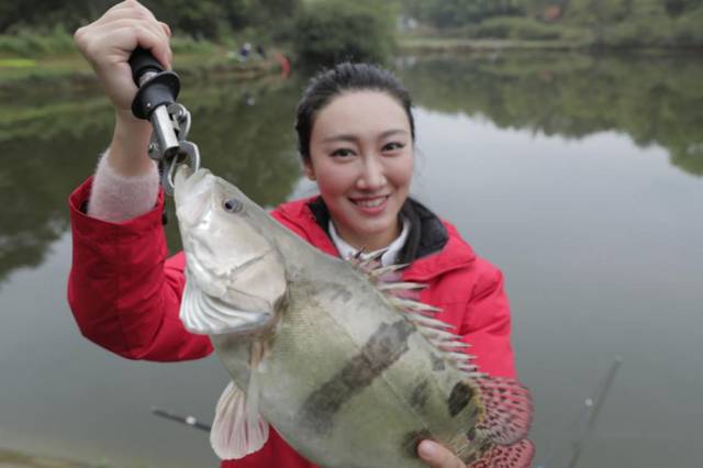 我们现场请到了快乐垂钓美女钓手-若萱,千人测评团粉丝-李轶,快乐垂钓