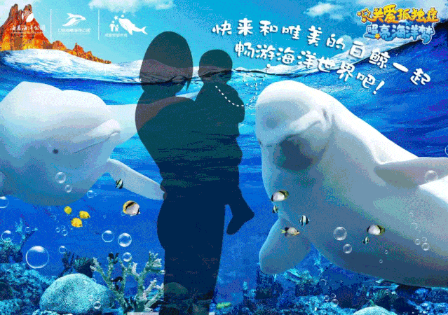 壁纸 海底 海底世界 海洋馆 水族馆 639_450 gif 动态图 动图